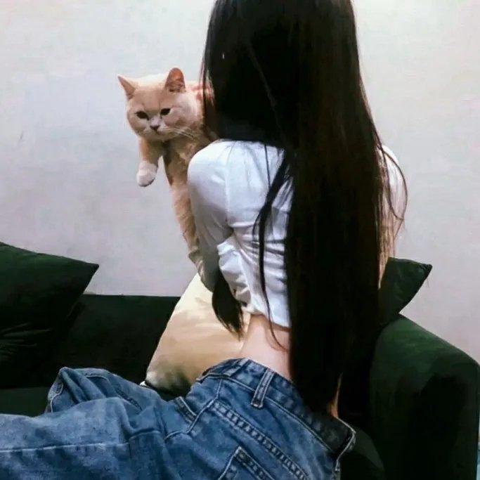 探访